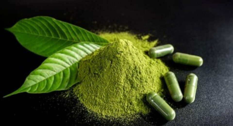 kratom alkaloid content