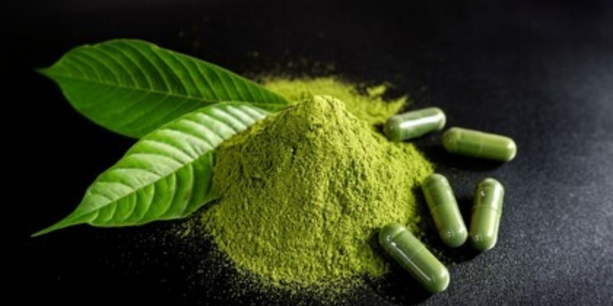 kratom alkaloid content