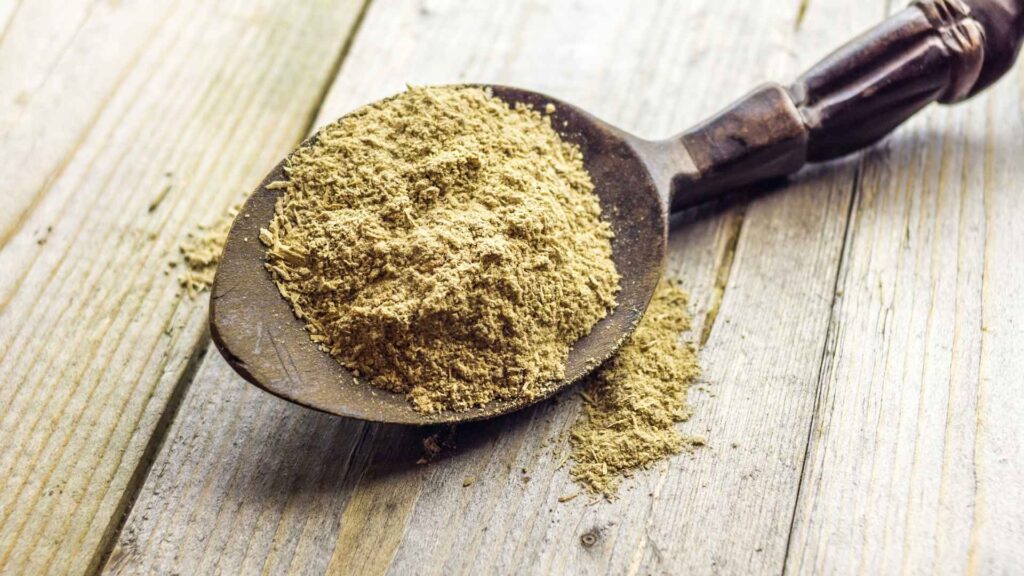 kava tea culture